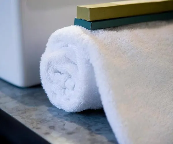 ホテル　レストラン　スパ　イヴァン　ヴォチエ‎ ホテル 5*